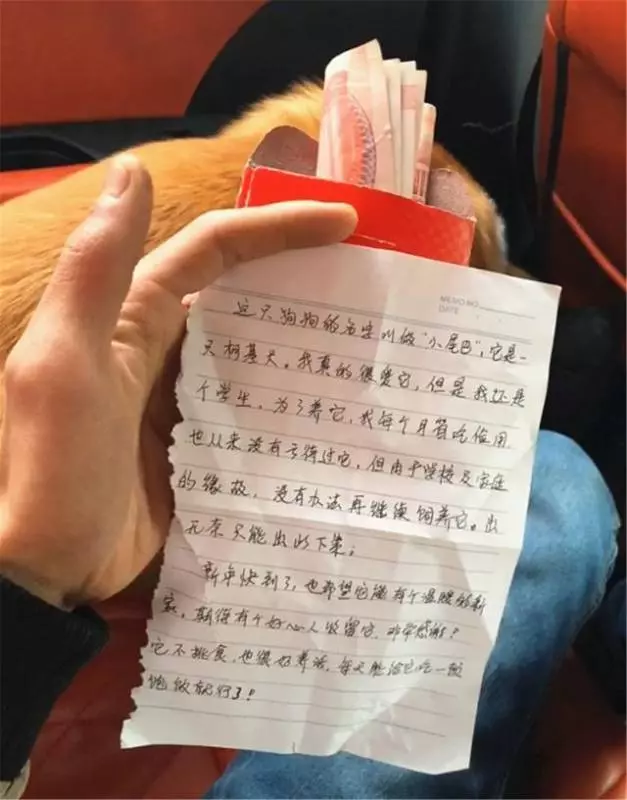 主人將柯基扔在公園,扔給牠500元和一封信,轉身離去,信中寫了什麼?