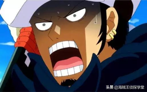 海賊王:五種拿命換實力的果實,給了你都不敢用!