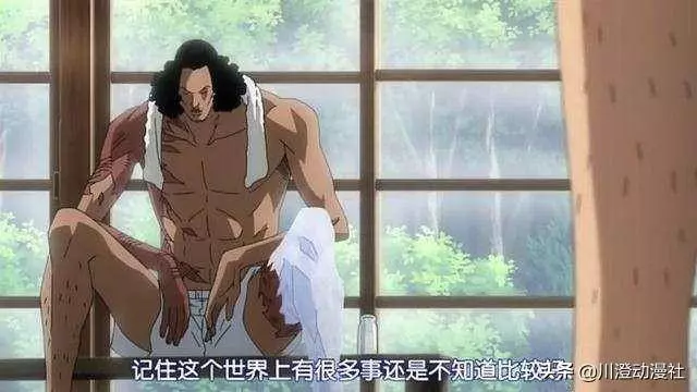 海賊王:修復斷臂的方式那麼多,紅髮為什麼寧願拖著斷臂稱王呢?