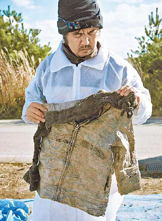 日本父親花了將近6年在輻射區「找尋女兒的遺體」, 沒想到卻在聖誕節的前夕…大家都哭了!