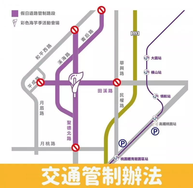 桃園彩色海芋季開跑