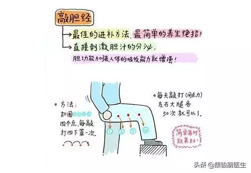 膽經,通經絡、生新發,養氣血,顯年輕,來敲敲
