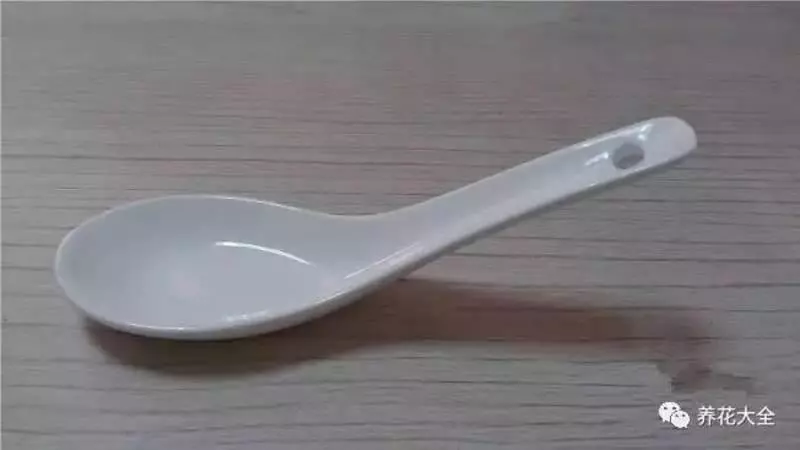 花 盆 裡 面 滴「1 滴 油」,花 1 個 月 就 爆 盆,10 年 不 黃 葉!
