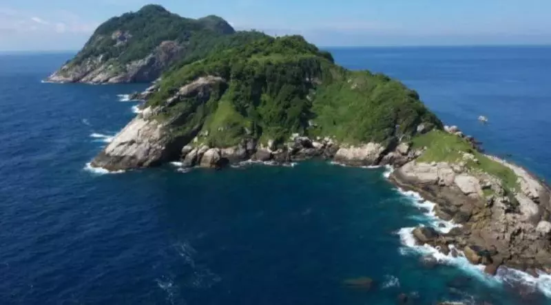 世界最兇毒蛇出沒!4000隻毒蛇「盤踞蛇島」 當地人警告:去了回不來