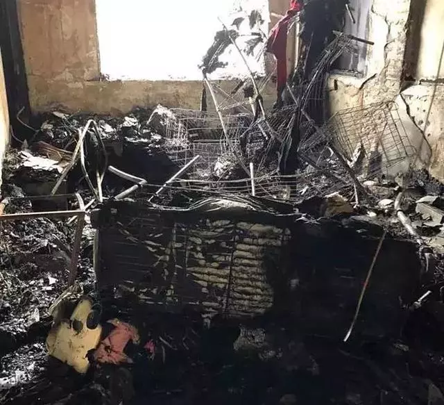 家中起火9隻狗狗被嗆身亡,主人看到床頭的插座泣不成聲