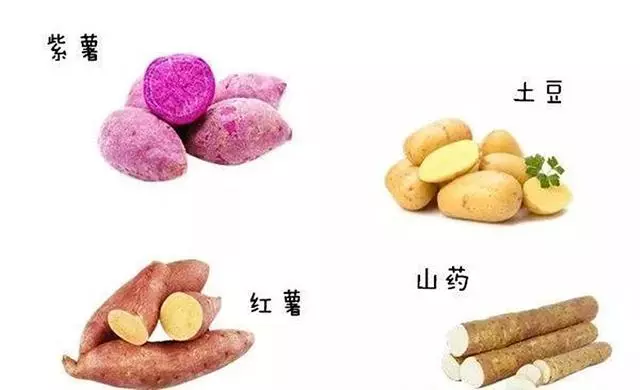盤點養狗人都做過的黑暗料理:6張圖告訴你到底有多難吃