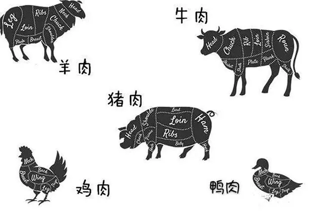 盤點養狗人都做過的黑暗料理:6張圖告訴你到底有多難吃