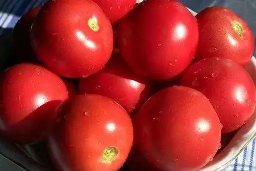 【減肥】減肥最好的方法,蔬菜減肥方案
