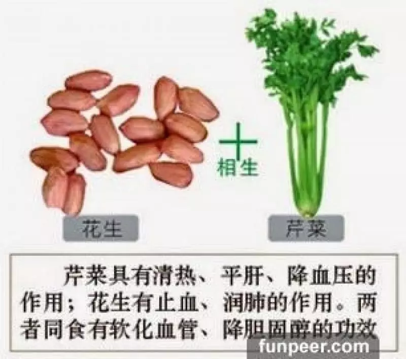 哪種食物會相剋?你一定不能不知道,別吃錯哦,快收藏