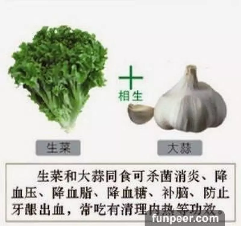哪種食物會相剋?你一定不能不知道,別吃錯哦,快收藏