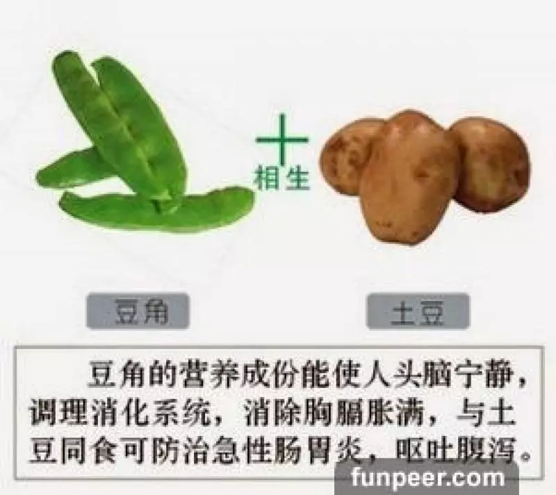 哪種食物會相剋?你一定不能不知道,別吃錯哦,快收藏