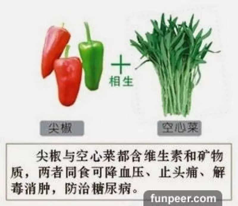 哪種食物會相剋?你一定不能不知道,別吃錯哦,快收藏