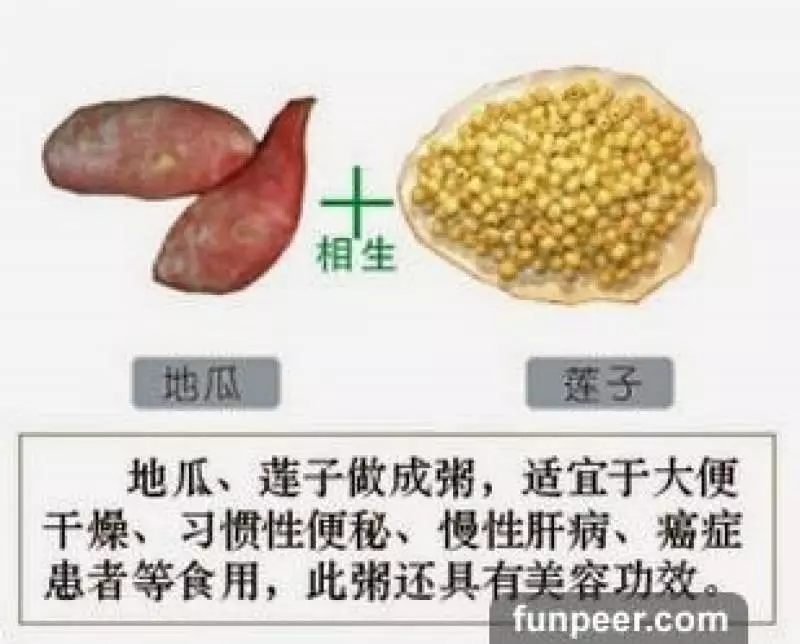 哪種食物會相剋?你一定不能不知道,別吃錯哦,快收藏
