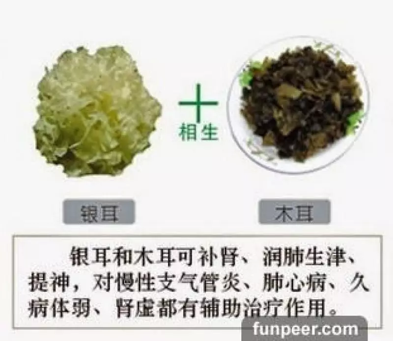 哪種食物會相剋?你一定不能不知道,別吃錯哦,快收藏