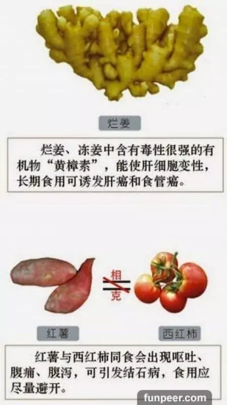 哪種食物會相剋?你一定不能不知道,別吃錯哦,快收藏