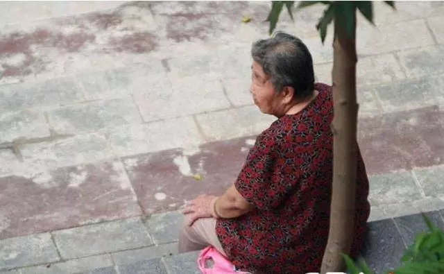 兒子結婚不請撿破爛的母親,女友請一乾媽,知道關係後取消了婚禮