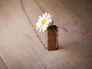 忘記一個人很簡單:不要見,不要賤
