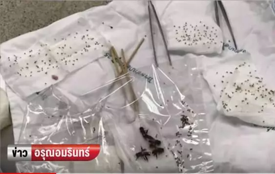 太夭壽!85歲高齡老翁慘遭數百蜜蜂圍攻,「蜂針像一顆顆白白粉刺」布滿臉超驚悚!