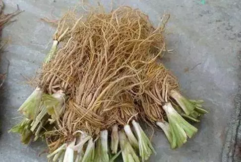 一把大蔥加大棗,腰酸背疼都趕走,一用一個好,萬人驗證,家裡有腰腿疼的存好