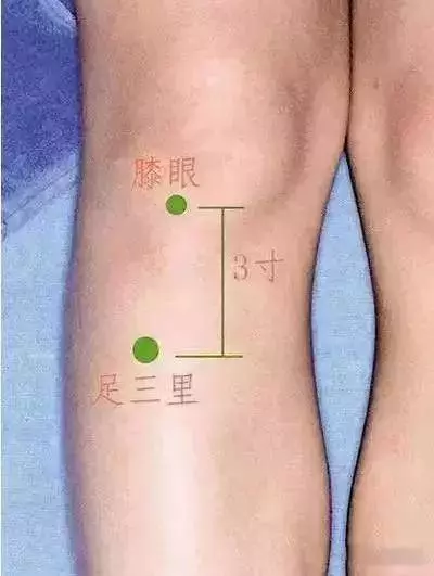 很少人知道的膝蓋鍛煉法,強化膝關節,每天30次,緩解膝蓋疼痛、消除關節積水,幫助複健、延長壽命