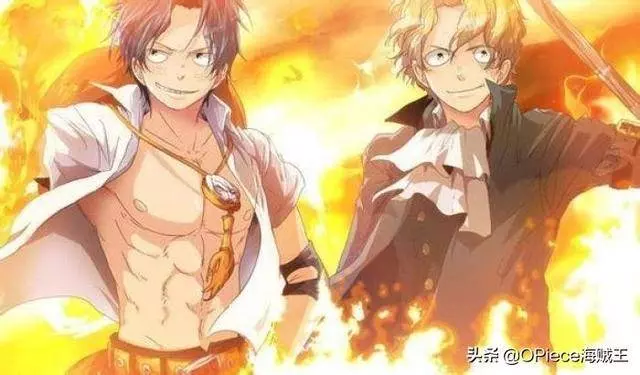 你都知道哪些呢?盤點海賊王中被一個以上的人擁有過的惡魔果實