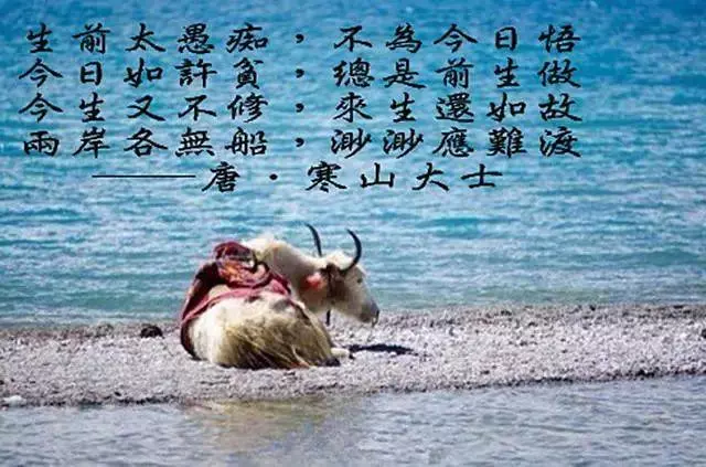看完此文就能知道前世今生,不可思議,太神奇了!