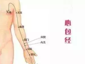 【每天敲一敲 身上這3條經絡 從頭到腳都舒服!】