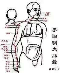 【每天敲一敲 身上這3條經絡 從頭到腳都舒服!】