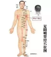 【每天敲一敲 身上這3條經絡 從頭到腳都舒服!】