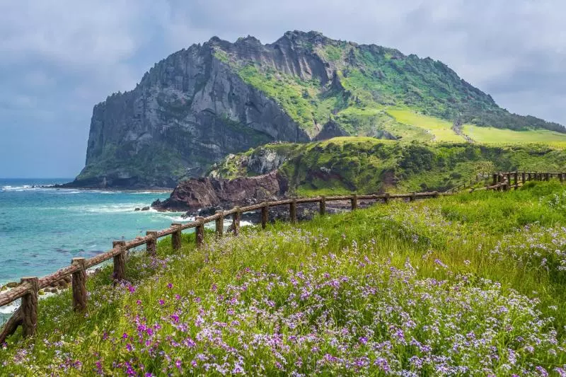【珍惜眼前人?】兒子帶患末期癌爸「最後一次Family Trip」老爸一個舉動戳中他淚點:我好後悔…