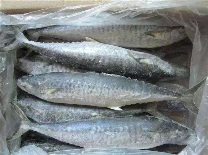 這4種魚,賣魚老闆自己都不吃現在知道還不晚!