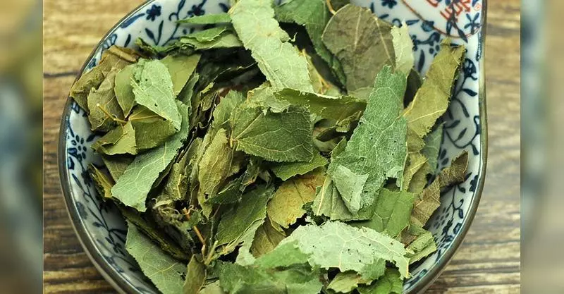 不僅對腰酸腿痛有療效,更是「補腎補氣」的良方,難怪老丈人天天喝!