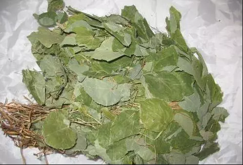 不僅對腰酸腿痛有療效,更是「補腎補氣」的良方,難怪老丈人天天喝!