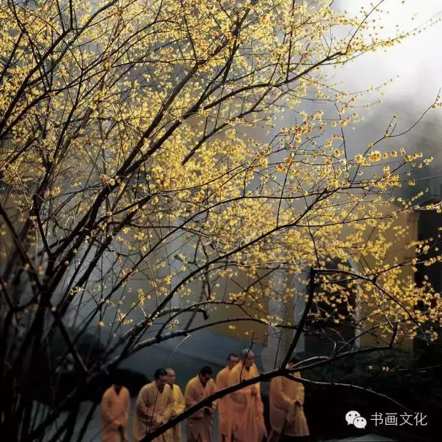 簡單,真好!(精典好文)