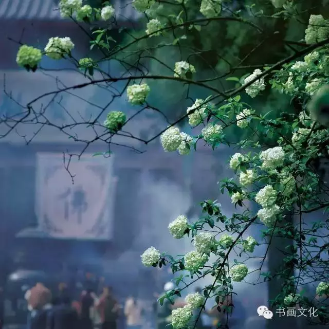 簡單,真好!(精典好文)