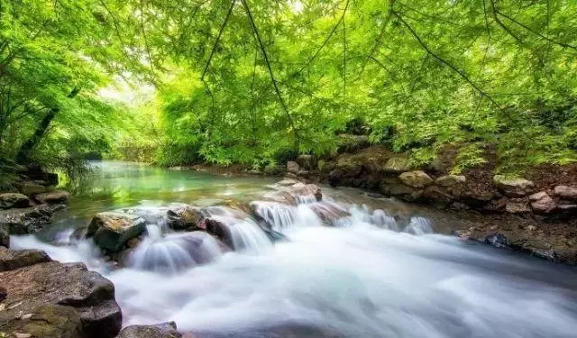 「上善若水」原來是這個意思