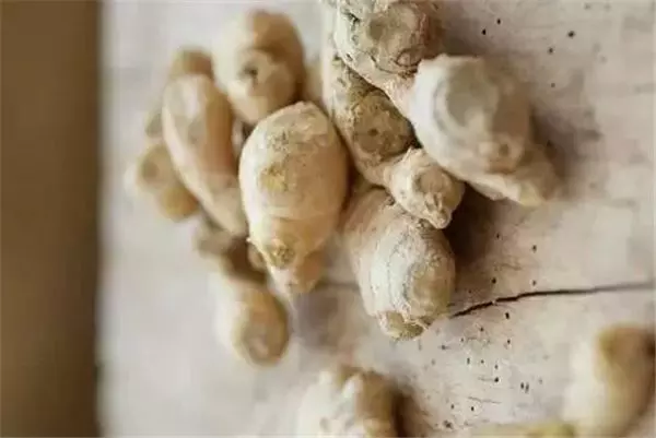 注意!「這種薑」千萬不要買,家裡有的趕緊扔掉,當心影響肝臟功能甚至致癌!