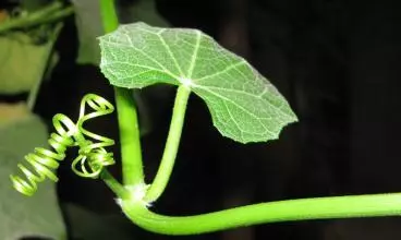 只需塗幾次鼻炎鼻塞好了!有緣看到,轉發收藏!