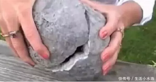 女子野外發現一枚奇石,用錘子砸開後,呈現的黑色驚艷四座!