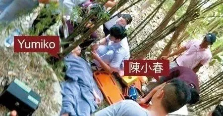 TVB女神回歸拍《法證先鋒4》 曾因不慎跌落山坡刺穿肺部重傷昏迷!