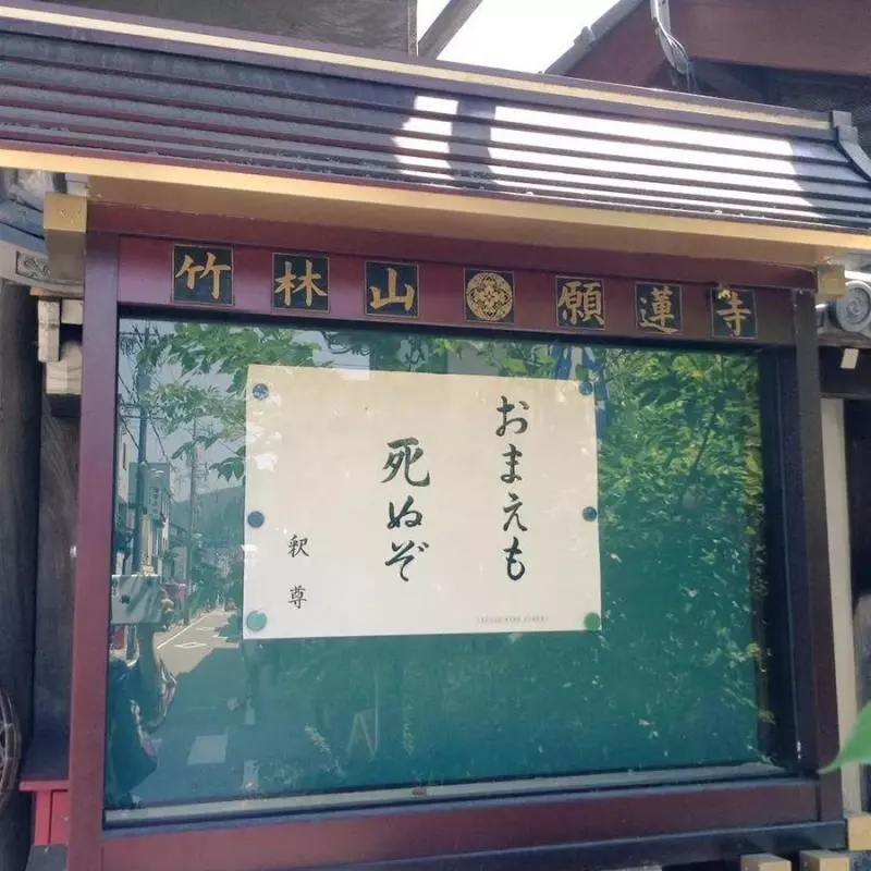 這些不走尋常路的日本寺廟標語火了!這些直面靈魂的拷問,發人深省