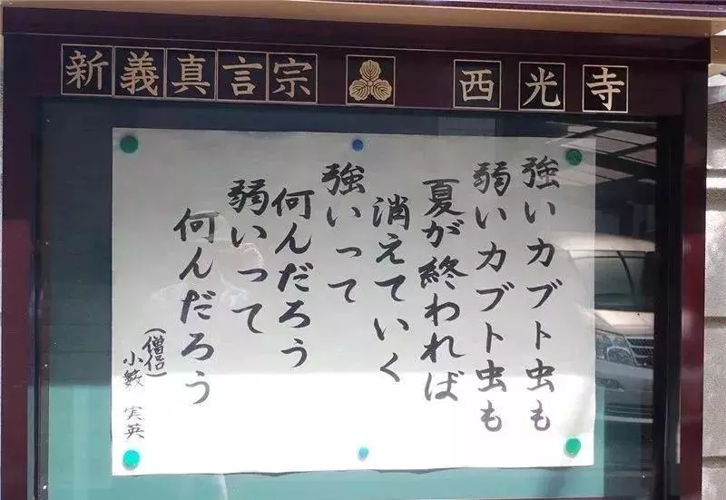 這些不走尋常路的日本寺廟標語火了!這些直面靈魂的拷問,發人深省