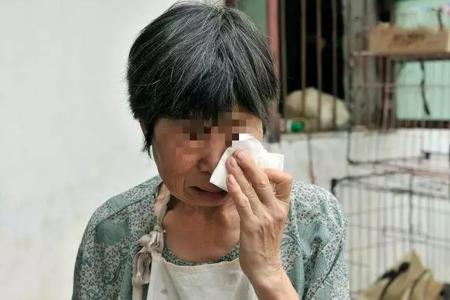 孕婦只要穿褲子就流產,婆婆不解,查看監控後,痛斥兒子畜生