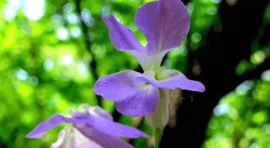 比算命還准,4月1號開始,順到不能再順的生肖,一路旺到年底