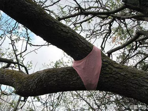 30張美女搞笑圖,保證你笑到肚疼!!美女司機掛檔的手法很嫻熟啊,亮點自己找!
