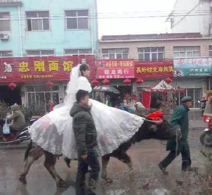 30張美女搞笑圖,保證你笑到肚疼!!美女司機掛檔的手法很嫻熟啊,亮點自己找!