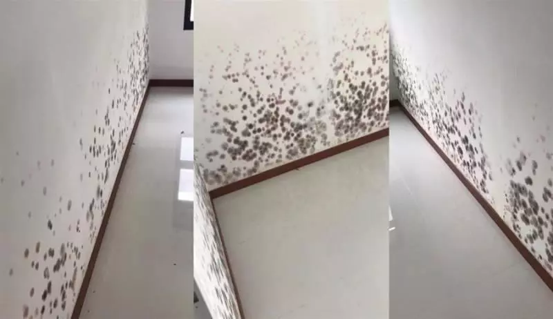 新加坡:才拿到新屋鑰匙不到一個月,牆壁竟然已經發霉,建屋局這樣回應!