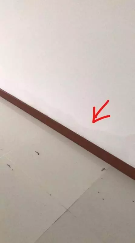 新加坡:才拿到新屋鑰匙不到一個月,牆壁竟然已經發霉,建屋局這樣回應!