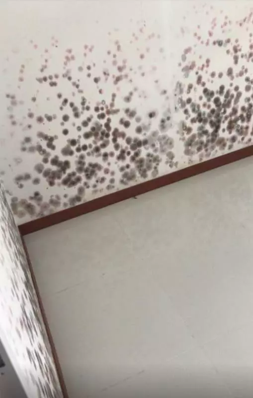 新加坡:才拿到新屋鑰匙不到一個月,牆壁竟然已經發霉,建屋局這樣回應!