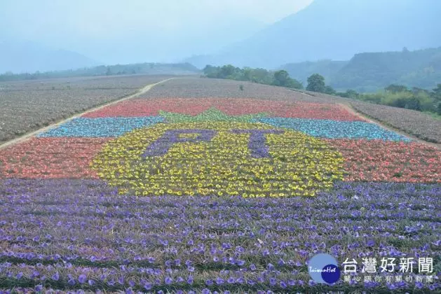 連假休閒好去處 屏東「鳳梨彩繪田」繽紛185縣道